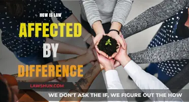 Diversity Impacts Law: Understanding the Dynamic Landscape