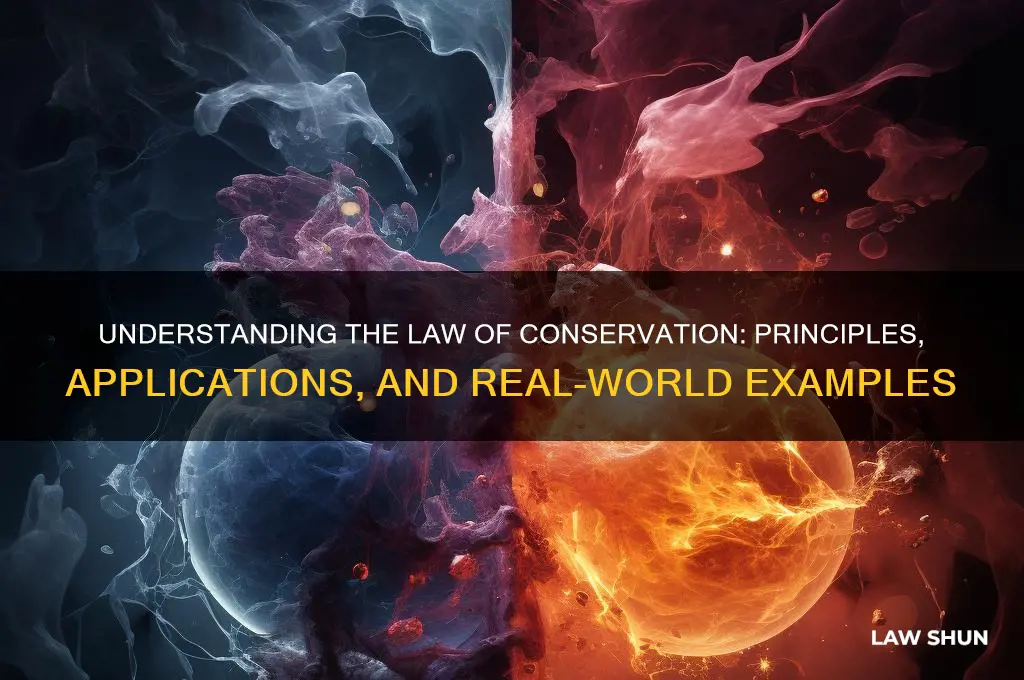 how is law conservation sated