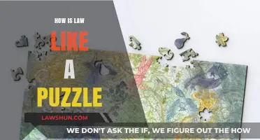 Unraveling the Complexities: How Law Mirrors the Intricacies of a Puzzle