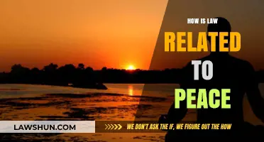 Law's Role in Fostering Peace: A Comprehensive Exploration