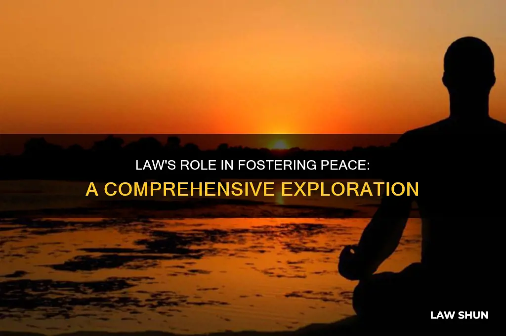 how is law related to peace