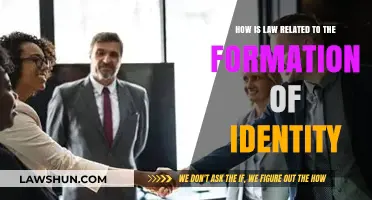 Law's Role in Shaping Personal and Collective Identity Formation