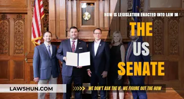 Understanding the US Senate's Legislative Process: From Bill to Law