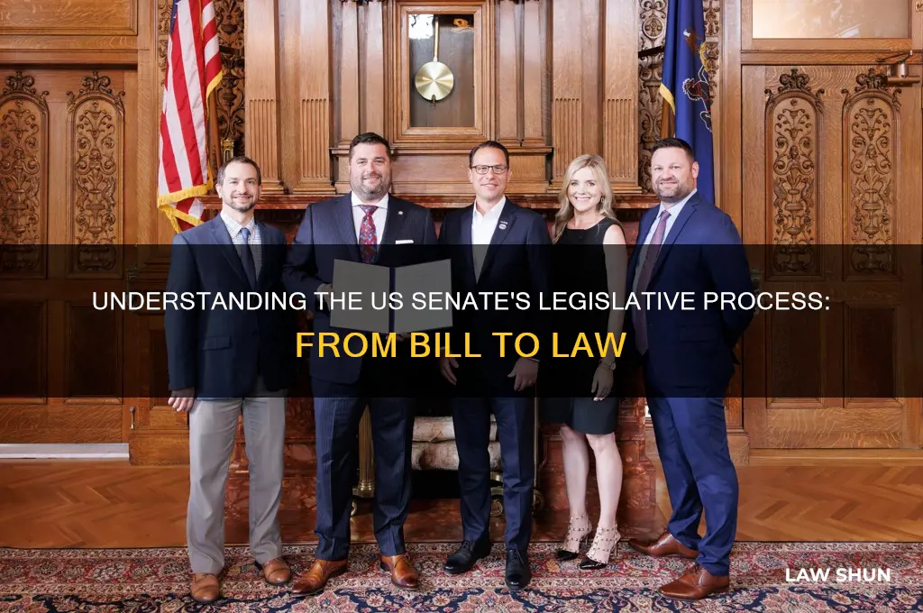 how is legislation enacted into law in the us senate