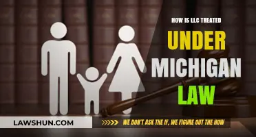 Understanding Michigan LLC Laws: Formation, Taxation, and Liability Protections