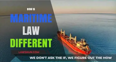 Maritime Law: Unique Challenges and Complexities