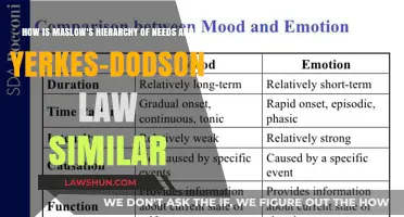 Maslow's Hierarchy and Yerkes-Dodson Law: Similarities in Human Motivation