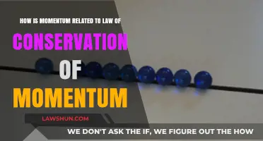 Understanding Momentum's Role in the Law of Conservation Principle