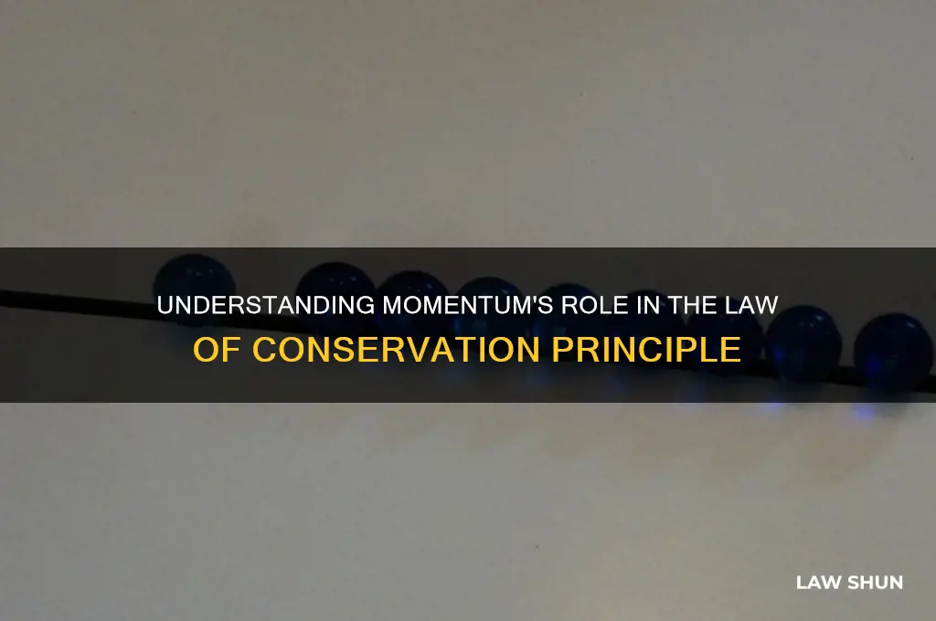 how is momentum related to law of conservation of momentum