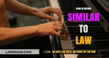Harmony in Structure: Exploring the Parallels Between Music and Law