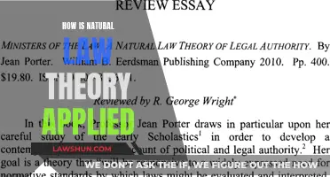 Natural Law Theory: Practical Applications and Real-World Examples