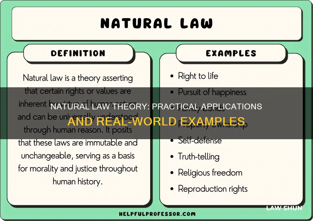 how is natural law theory applied