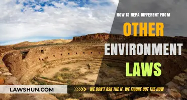 NEPA's Unique Role in Environmental Law