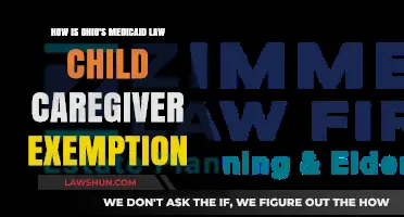 Ohio Medicaid Law: Understanding the Child Caregiver Exemption Benefits