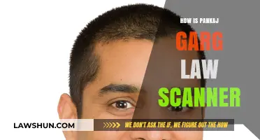 Exploring the Efficiency of Pankaj Garg's Law Scanner Tool