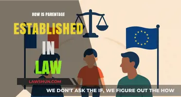 Understanding Parenthood: Legal Frameworks and Rights