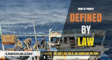 Understanding Piracy: Legal Definitions and Implications