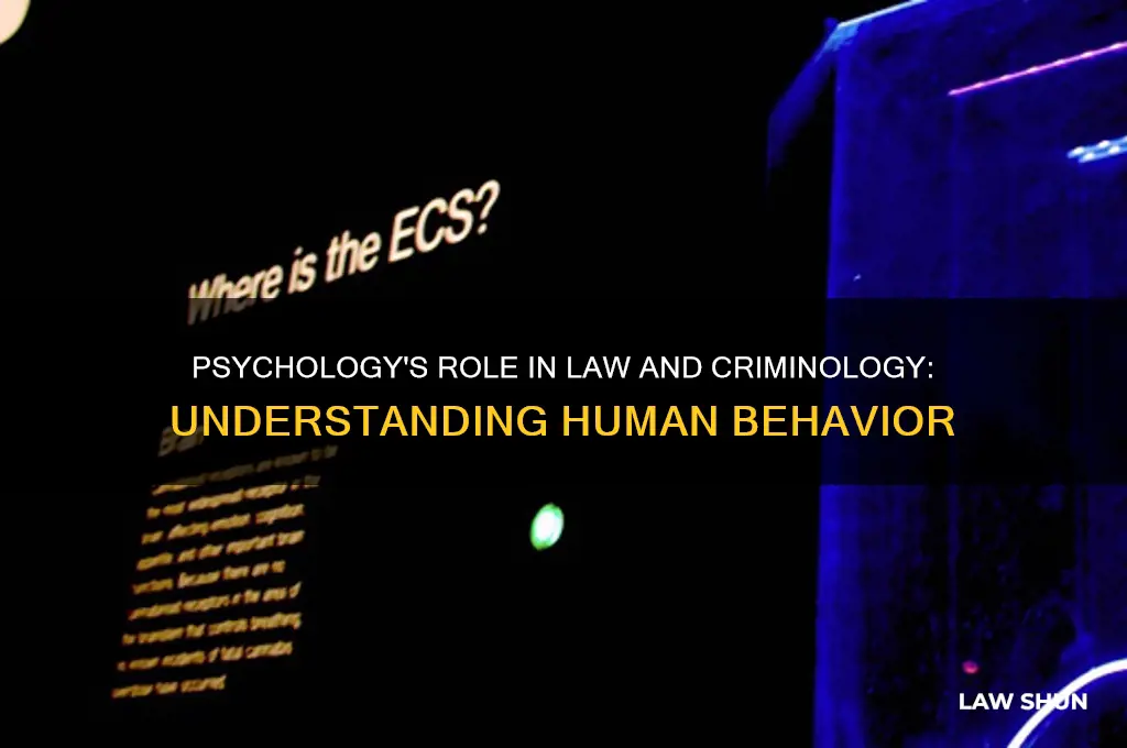 how is psychology related to law and criminology