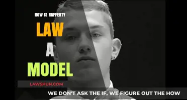 Rafferty Law: A Pioneering Model for Modern Legal Practice