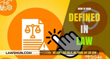 Understanding Risk in Legal Context: A Comprehensive Guide