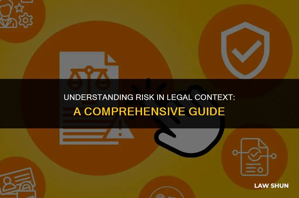 how is risk defined in law