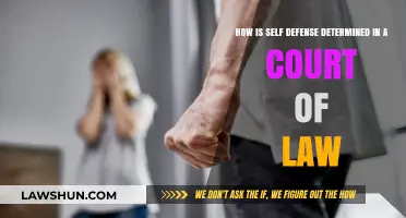 Understanding Self-Defense: Legal Criteria and Court Determinations Explained