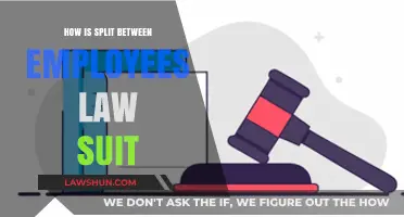 Understanding Employee Split in Lawsuits: Legal Insights and Key Considerations