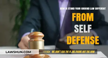Stand Your Ground: Self-Defense Law Explained
