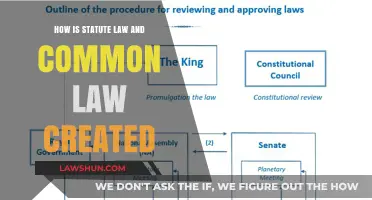 The Evolution of Statute and Common Law