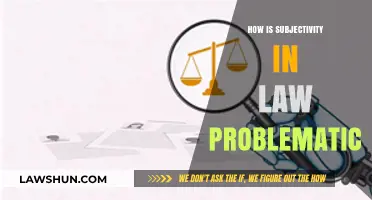 The Quandary of Subjectivity in Law: Unraveling Bias and Inconsistency