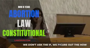 Texas Abortion Law: Constitutional Conundrum Explained