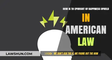 Pursuit of Happiness: Legal Foundations in American Law Explored