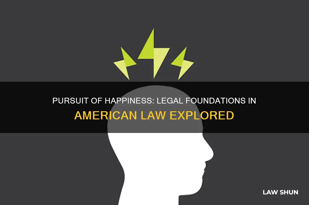 how is th epursuit of happiness upheld in american law