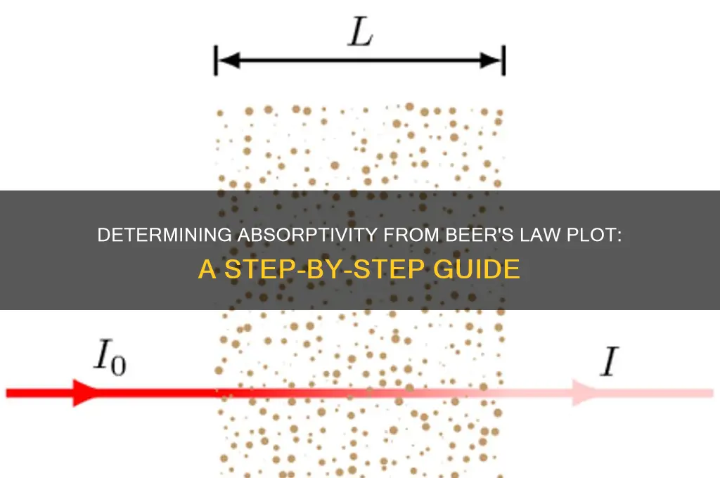how is the absorptivity determined from the beer