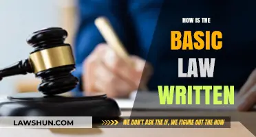 Decoding the Fundamentals: A Guide to Basic Law Writing