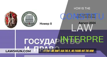 Interpreting Constitutional Law: A Complex Task