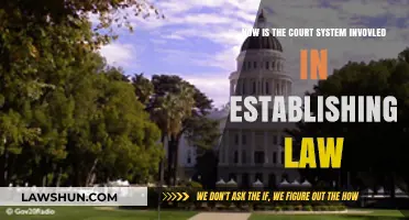 Understanding the Court System's Role in Shaping and Establishing Law