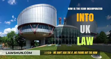 Incorporating the ECHR: UK Law and Human Rights