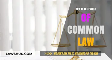 The Father of Common Law: Henry II's Legacy