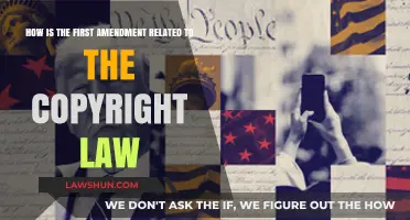Copyright Law: Free Speech Friend or Foe?