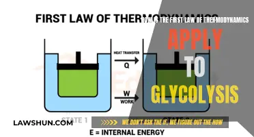 Thermodynamics' First Law and Glycolysis: Energy's Rules