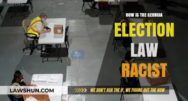 Georgia's Election Law: Systemic Racism and Voter Suppression Explained