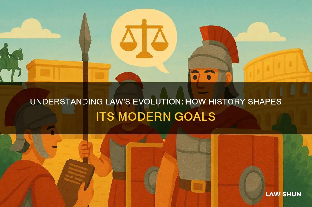 how is the history of law relevant to its goals