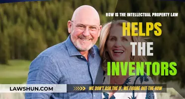 Intellectual Property Law: Empowering Inventors to Protect and Profit from Innovations