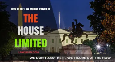 Understanding the Constraints on the House's Law-Making Authority