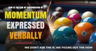 Understanding the Verbal Expression of Momentum Conservation in Physics