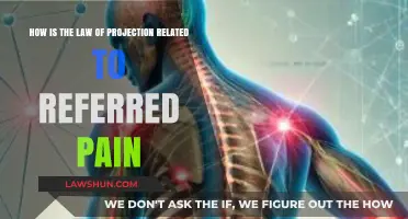 Understanding Referred Pain: The Role of the Law of Projection