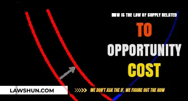 Supply's Opportunity Cost: Understanding the Economic Trade-Offs