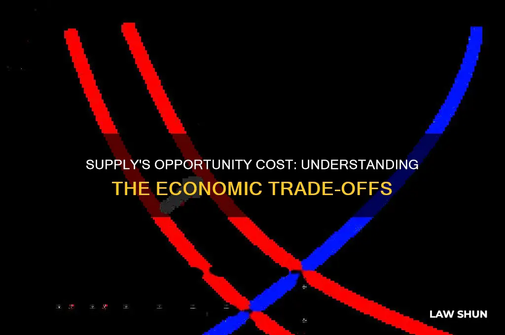 how is the law of supply related to opportunity cost