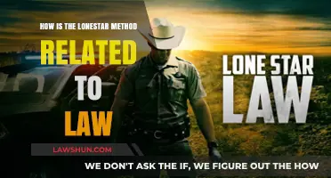 Understanding the Lone Star Method's Legal Implications and Applications